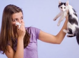 allergie oplossen met hypnose en hypnotherapie 